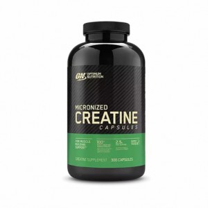 Optimum Nutrition Micronized Creatine Capsules 300 Capsules (150 Servings) Schweiz | 0872CKRHP