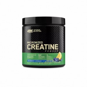 Optimum Nutrition Micronized Creatine Powder Blueberry Lemonade 0.79 lb (60 Servings) Schweiz | 0532YXZKF