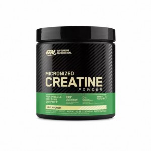 Optimum Nutrition Micronized Creatine Powder Unflavored 0.66 lb (60 Servings) Schweiz | 9723WNDZT