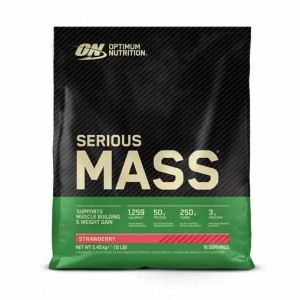 Optimum Nutrition Serious Mass Gainer Strawberry 5.45 kg (16 Servings) Schweiz | 3417JIUWH