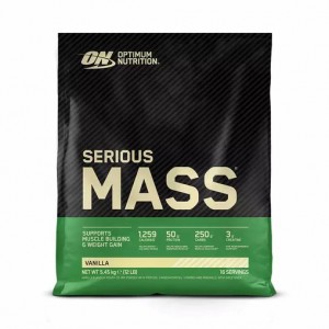 Optimum Nutrition Serious Mass Vanilla 5.45 kg (16 Servings) Schweiz | 3869PEGHB